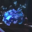 主