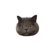 ♩さんのアイコン画像