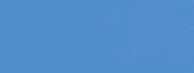 サラさんの壁紙画像