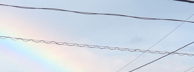    てそさんの壁紙画像