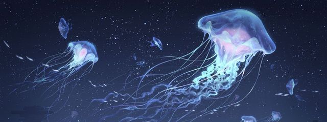 LiLiさんの壁紙画像