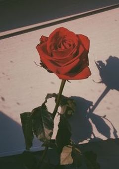 𝓂𝓎.𝒷ℯ𝓈𝓉 𝒻𝓇𝒾ℯ𝓃𝒹   ,  永遠の愛  。