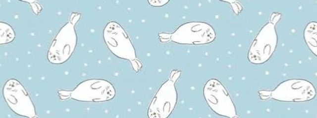 まめあざらしさんの壁紙画像