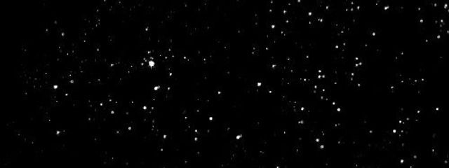 夜迷さんの壁紙画像