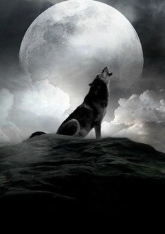 『さぁ、真実を教えてくれる風を読み取りましょう』