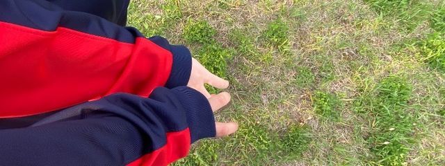 くうらさんの壁紙画像