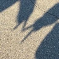 さぁぴ さんのアイコン画像