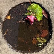 木宮薫さんのアイコン画像