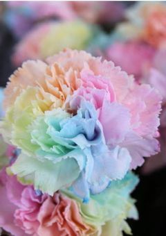 恋人はママちゃん