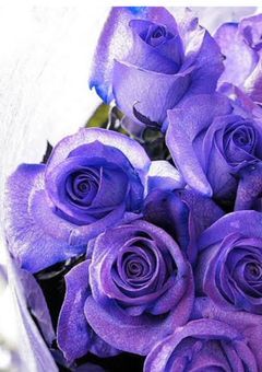 最年長の気になる子は最年少のお姉ちゃん