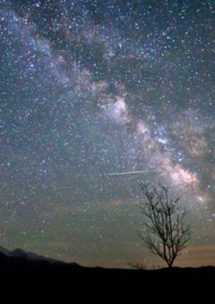 流れ星の贈り物