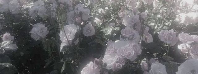 碧海さんの壁紙画像
