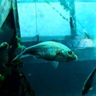 75さんのアイコン画像