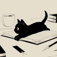 Nikoさんのアイコン画像