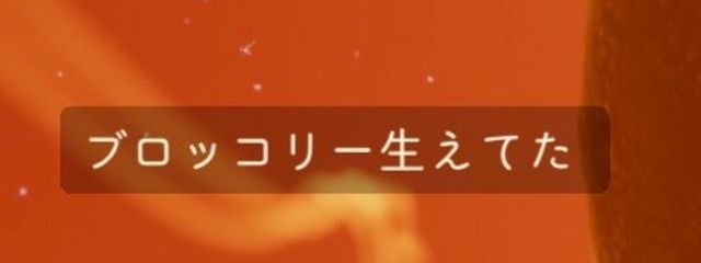 センさんの壁紙画像