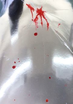 毎日 イラスト描いてたら 神絵師 になれる説（　☆