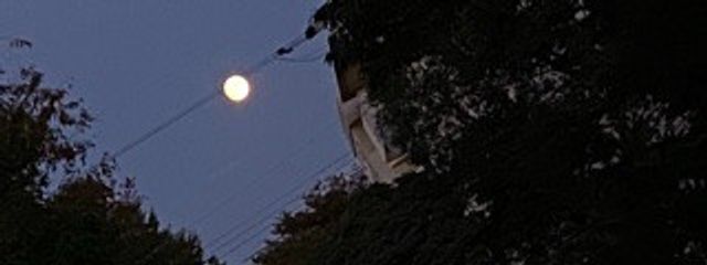 凪紗さんの壁紙画像