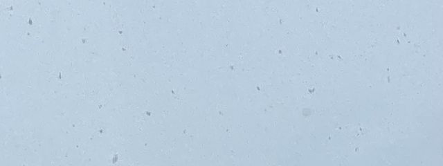 えびやろうさんの壁紙画像