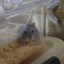 (なまえ)