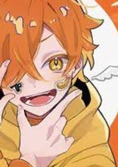 ぺいんとの嫁までの道のり…【再投稿】