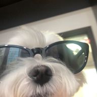 jdさんのアイコン画像