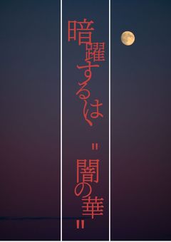 暗躍するは、"闇の華"