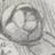 テトラポットさんのアイコン画像