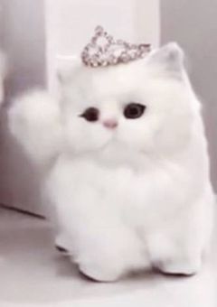 ꒰ と ~ く ꒱