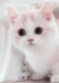 ꒰ イ ラ ス ト ꒱