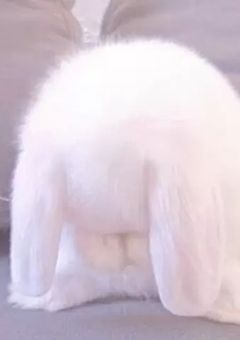 ꒰ 推し の ふぁんあーと ꒱