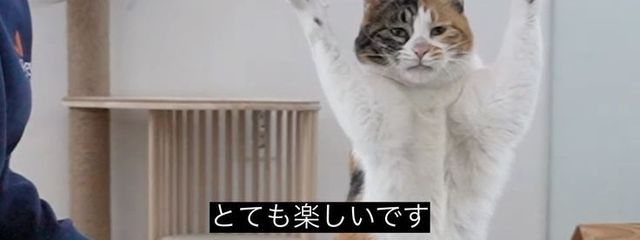 整理整頓さんの壁紙画像