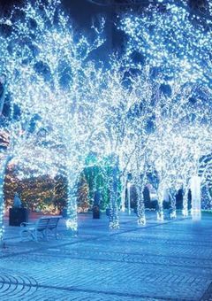 妹だって……大変なんだよ