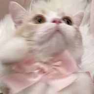 なるさんのアイコン画像