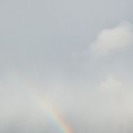 ayaさんのアイコン画像