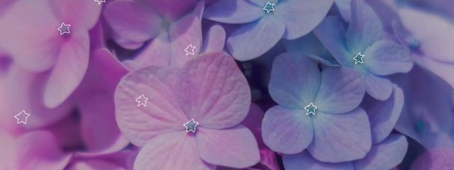 nuiさんの壁紙画像