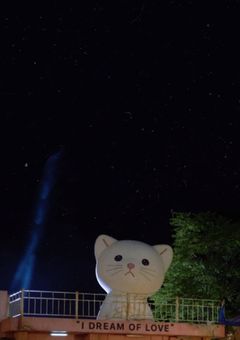 素敵なファミリー