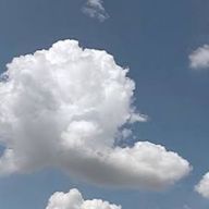 雷さんのアイコン画像