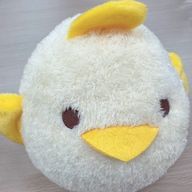 Akiraさんのアイコン画像