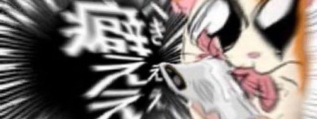 眉間皺さんの壁紙画像