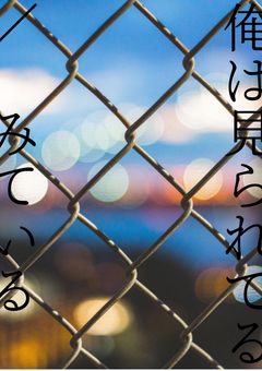 俺は見られてる ／ 見ている