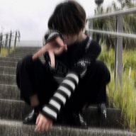 紫緒音さんのアイコン画像