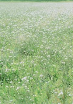 て ん し と あ く ま