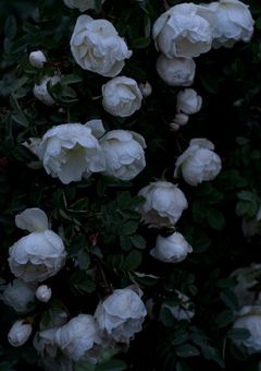 　【 BL 】BTS 短編集　