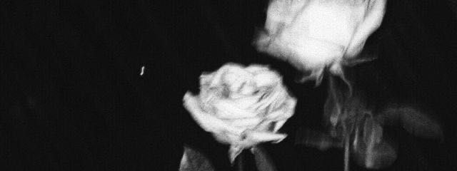 시 우 ,さんの壁紙画像