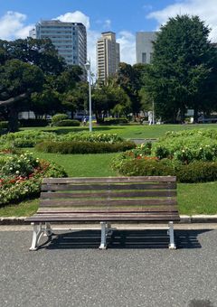 友達増やしたい……皆お話ししよ…