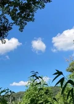 先輩。好きです。