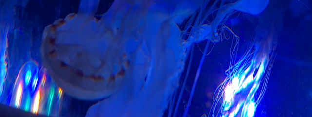 Nnさんの壁紙画像