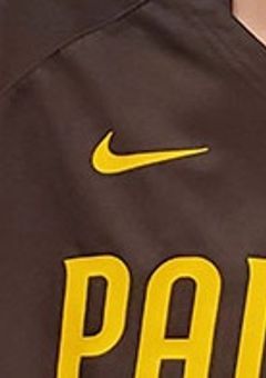 プロ野球選手の体調不良