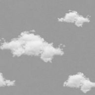 ぷっか隊長さんのアイコン画像