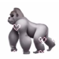 ゴリステ（ゴリラステージ）🦍さんのアイコン画像